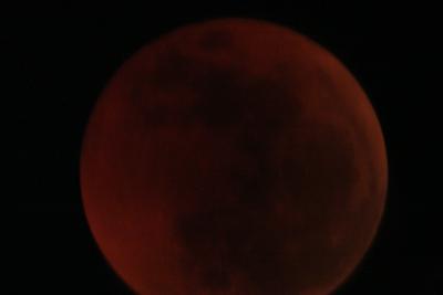 img_8271.jpg